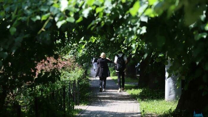 Из-за строительства дома на Донского 17 деревьев и 13 кустов пересадят в два городских парка