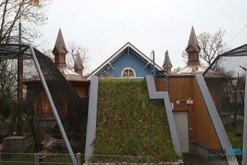 Дома тропической птицы - 2019