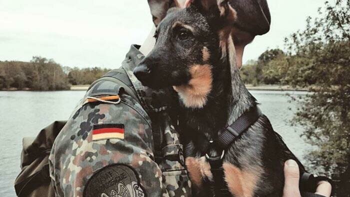 Брошенный  под Переславским щенок будет служить в Бундесвере
