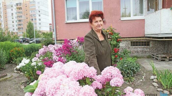 Хамелеон на клумбе: розовый букет стал синим