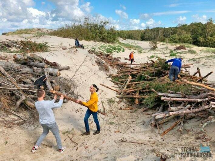 Защитили авандюну  от разрушения