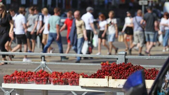 Мэрия: число нелегальных точек уличной торговли в Калининграде за год удвоилось