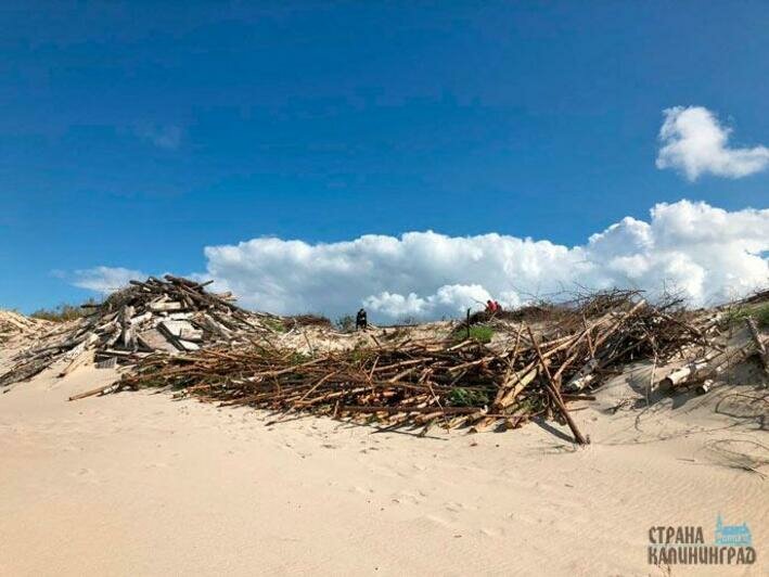 Защитили авандюну  от разрушения