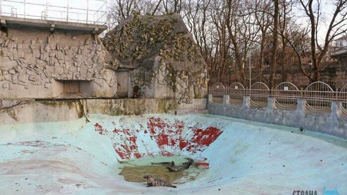 Бассейн для тюленей перестроят 