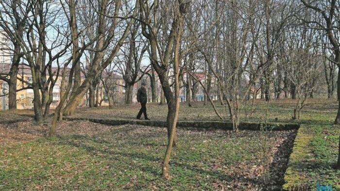 Депутаты вспомнили о старых кортах 