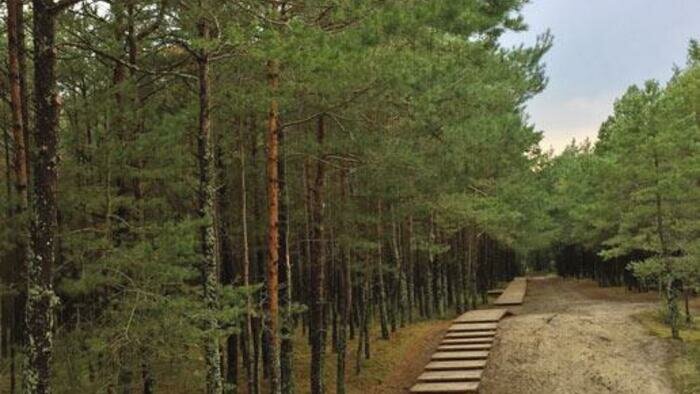 Посещение Куршской косы дорожает вдвое