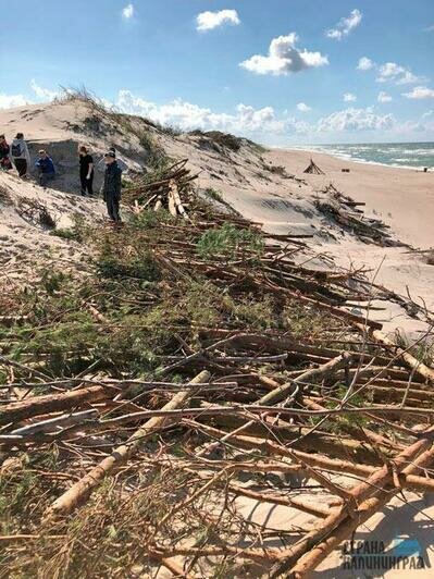 Защитили авандюну  от разрушения