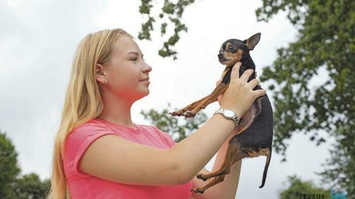 Хитрюга пес съел  обед хозяйки