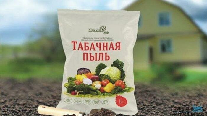 Пыль пыли рознь 