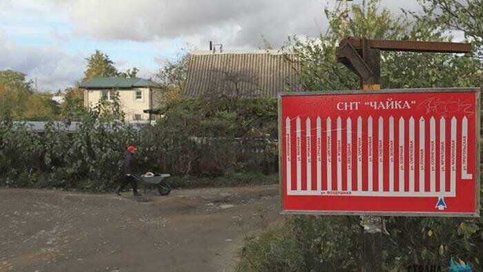  За сорняки  накажут штрафом