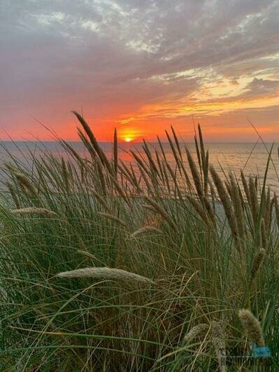 Тайный мир Куршской косы