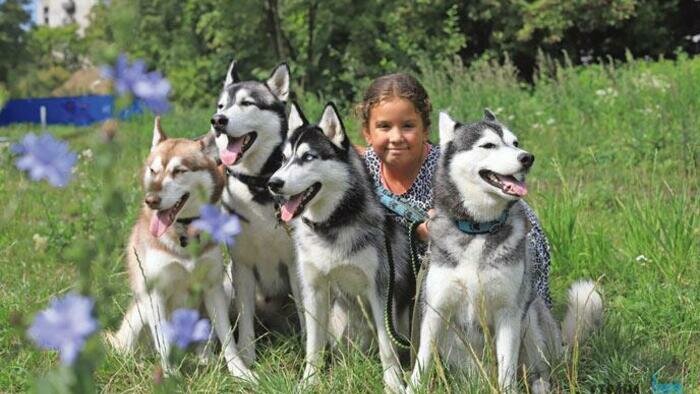 Дружная компания