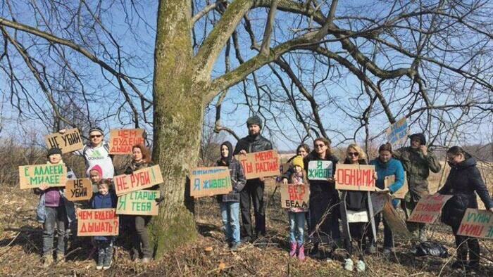 Губернатор запретил вырубку  в парке имени Теодора Кроне