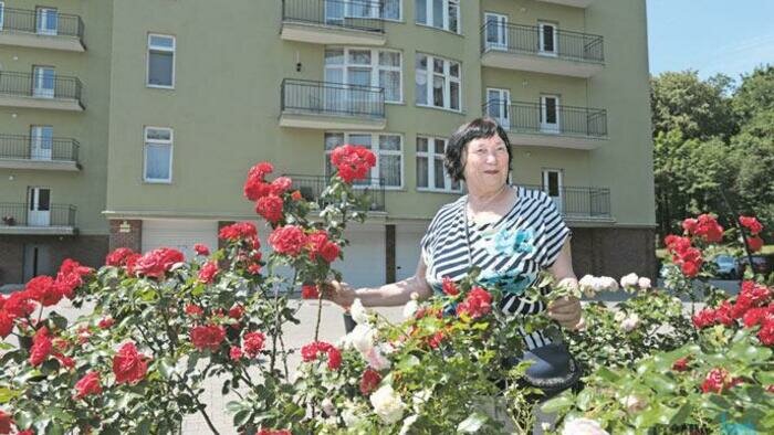 Двор утопает  в шикарных цветах