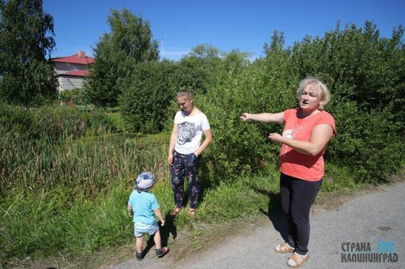 Жители Пограничного массово пишут губернатору