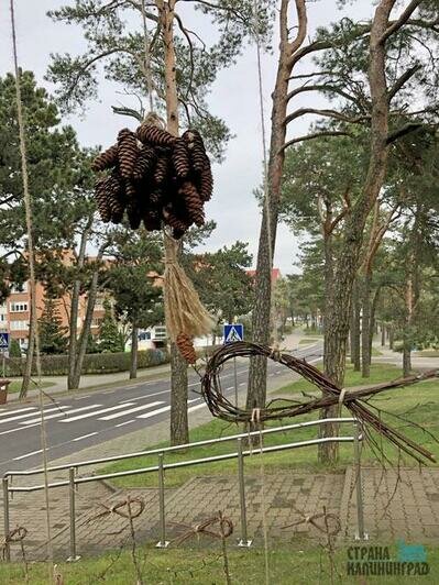 Праздник корюшки на Куршской Косе