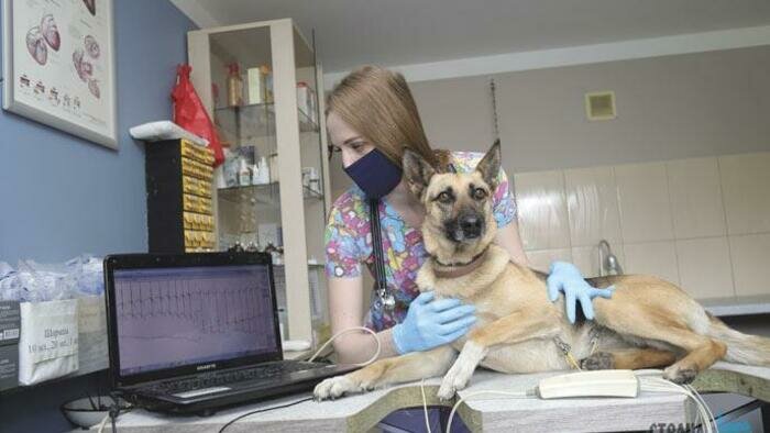 Чтобы летняя жара  не стала «зверской»