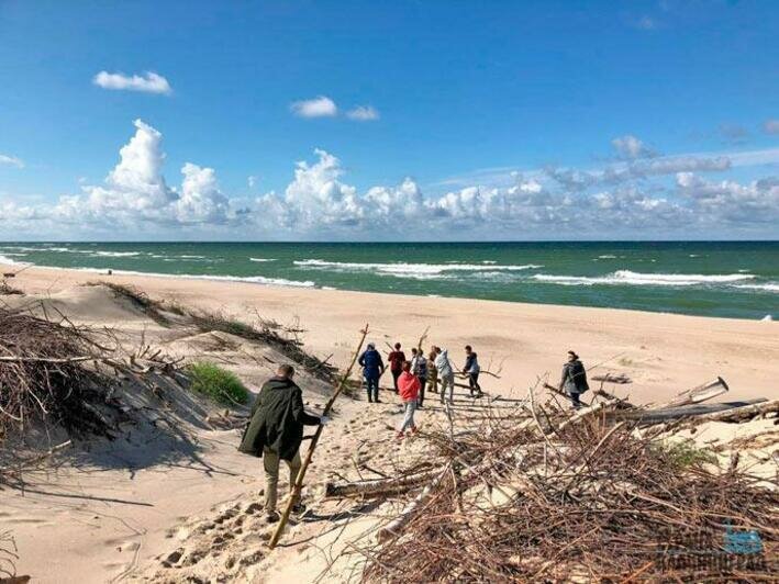 Защитили авандюну  от разрушения