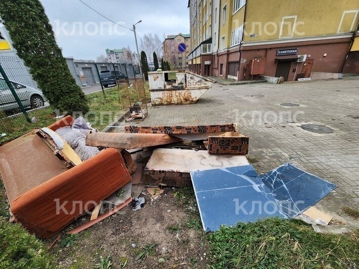 Улицы Калининграда прекрасных дам к Восьмому марта чистотой не порадуют: новый хит-парад переполненных помоек (фото)   - Новости Калининграда | Фото: Олеся Зайцева