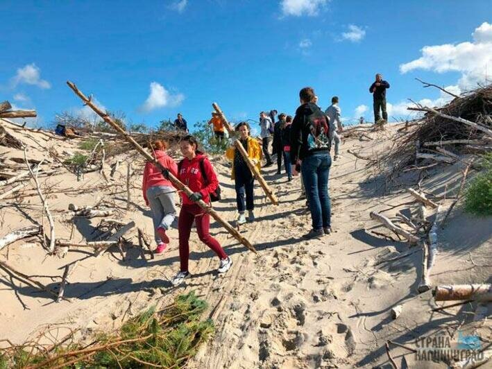 Защитили авандюну  от разрушения