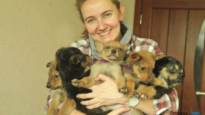 Брошенный  под Переславским щенок будет служить в Бундесвере