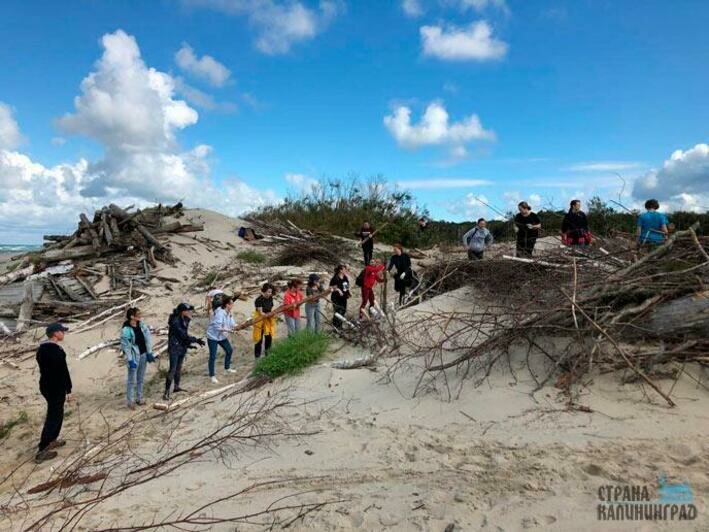 Защитили авандюну  от разрушения