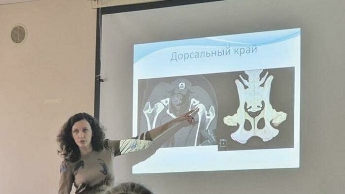 Как заглянуть внутрь питомца  и поставить точный диагноз 