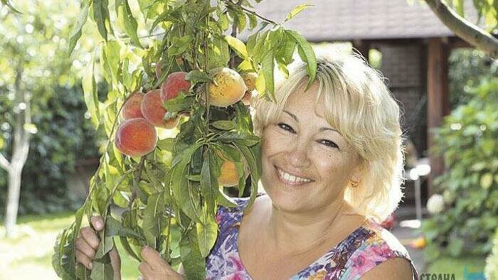 Калининградские персики – миф или реальность?