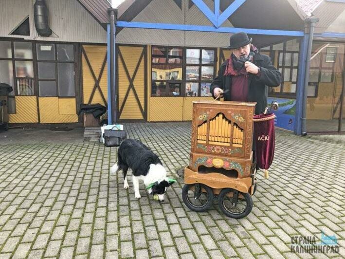 Праздник корюшки на Куршской Косе