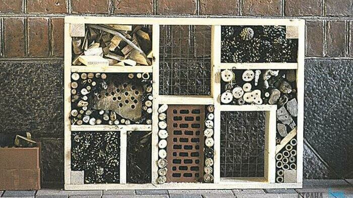 Новый тренд зеленых городов – огороды для всех желающих