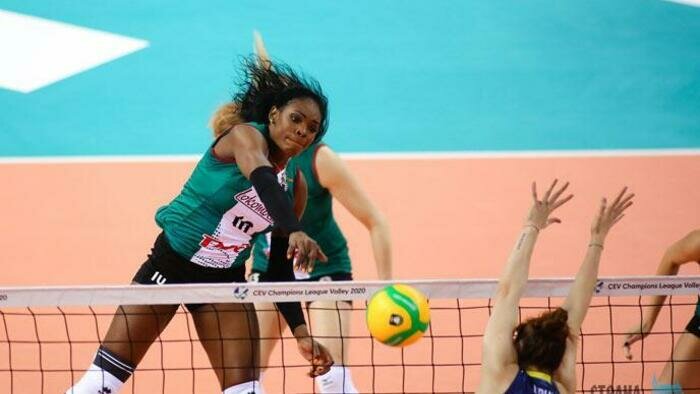 Свадьба, подкрепление  из Нидерландов и зоопарк