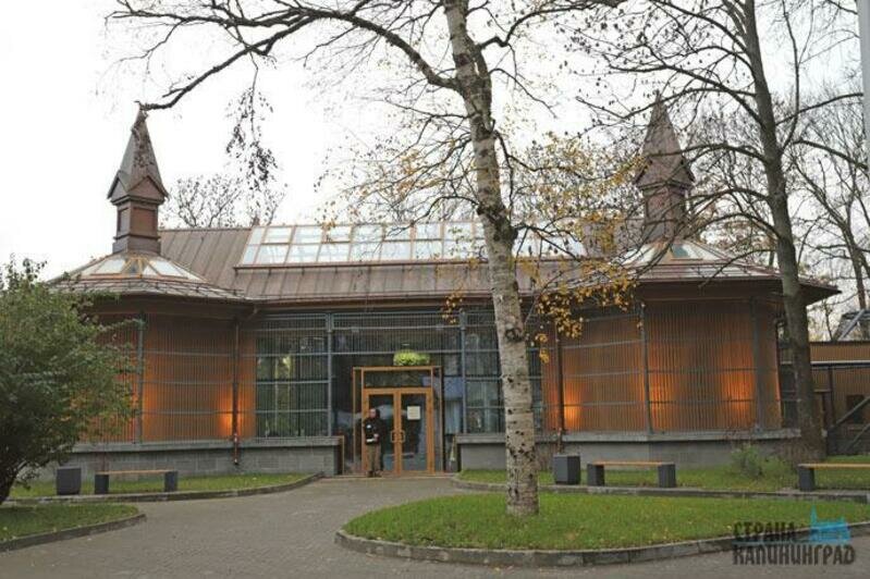 Дома тропической птицы - 2019