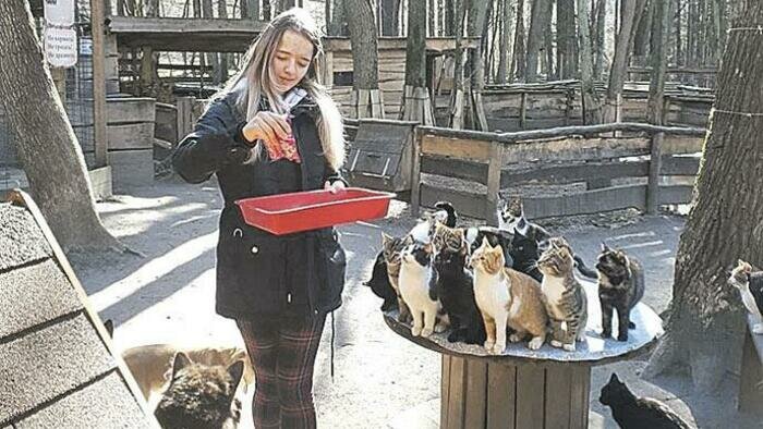 «Только бы дотянуть!»