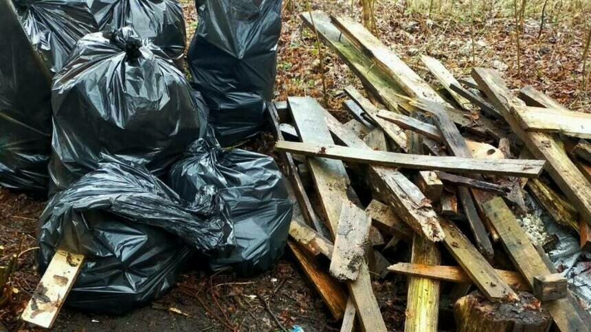 В Куликово задолго до начала летнего сезона начали появляться стихийные свалки - Новости Калининграда | Фото: администрация Зеленоградского городского округа