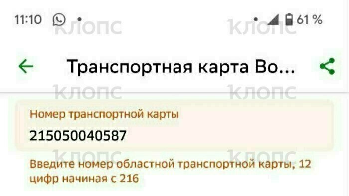 От «система огонь» до «верните как было»: калининградцы оценили новшества оплаты проезда в транспорте - Новости Калининграда | Фото читателя