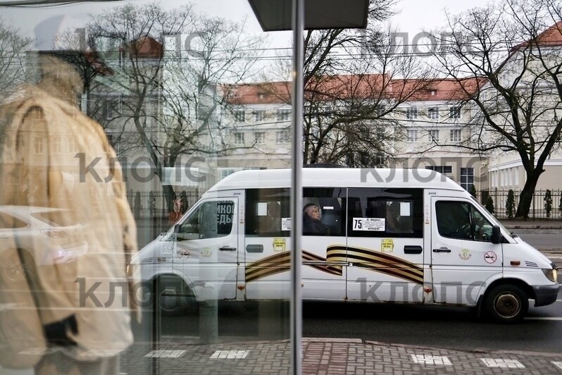 Начали с маршруток: в Калининграде общественный транспорт брендируют к юбилею Победы (фоторепортаж) - Новости Калининграда | Фото: Александр Подгорчук / «Клопс»