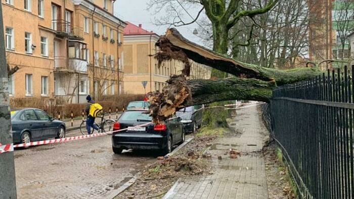 За «Эльзой» пришел «Герхильд» 
