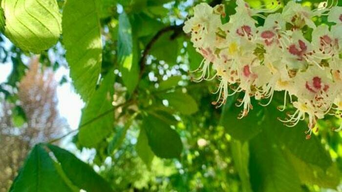 Калининградцев ждет похолодание