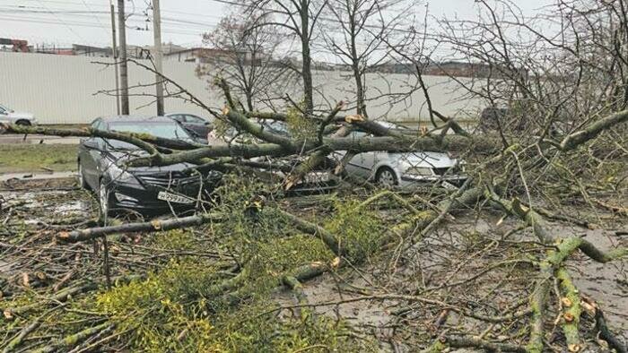 За «Эльзой» пришел «Герхильд» 