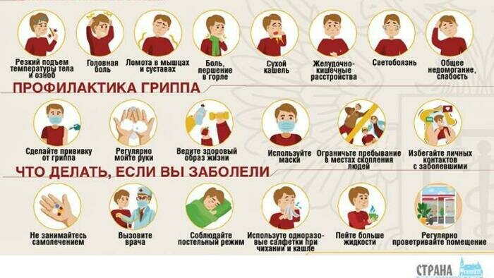 В Калининград пришел свиной грипп