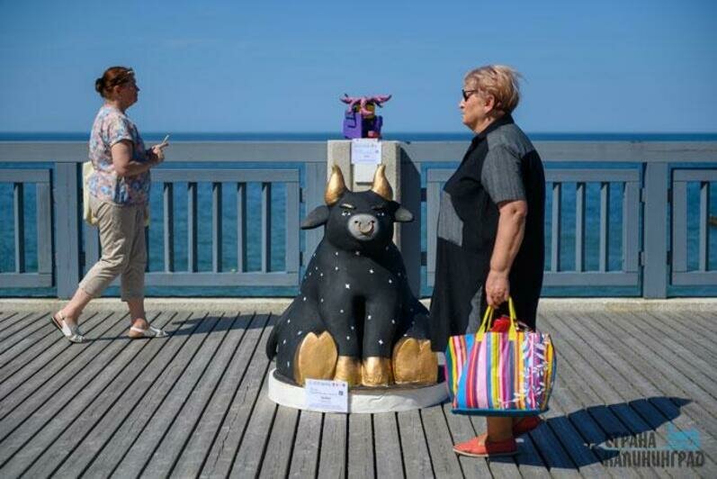 &quot;&quot;&quot;Море внутри&quot;&quot; в Светлогорске&quot;