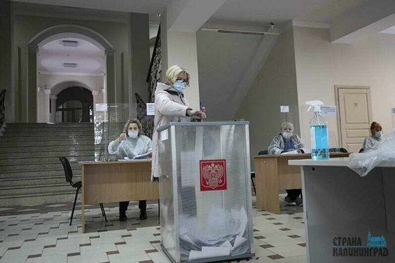 Выборы-2021