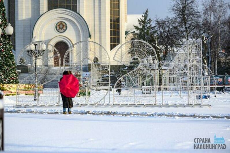 Зима. Снегопад. Январь 2024