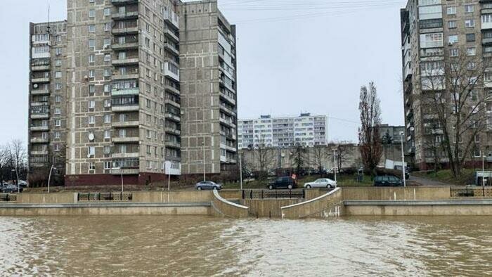 Тополь разорвал микроавтобус