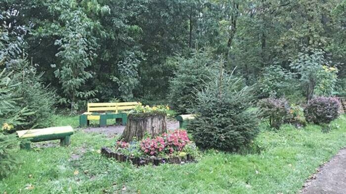 Куда должна вести  «Тропа здоровья» в Чкаловске