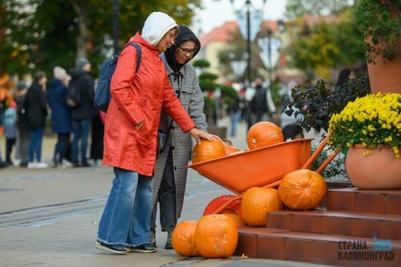 В Зеленоградске - оранжевое настроение
