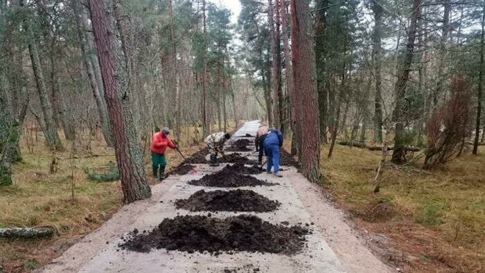 Велодорожка на Куршской косе будет прерываться в поселках