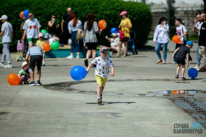 Юные калининградцы и гости города попробовали себя в творческих профессиях 