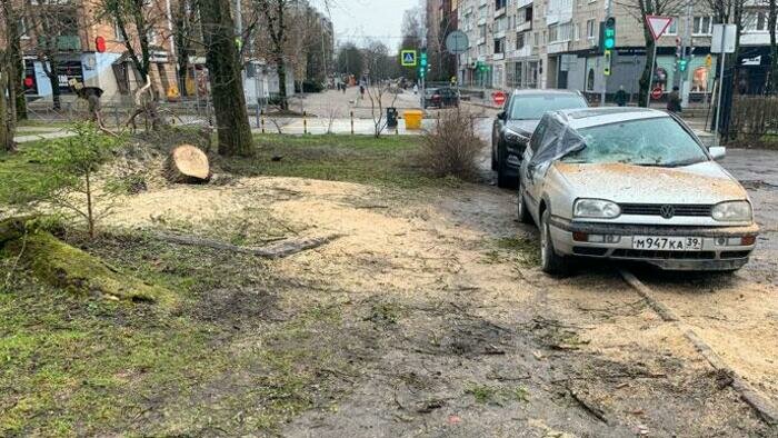 Тополь разорвал микроавтобус