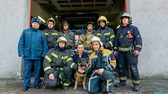 Попавшую в шлюз и получившую перелом позвоночника собаку, выходили сотрудники МЧС